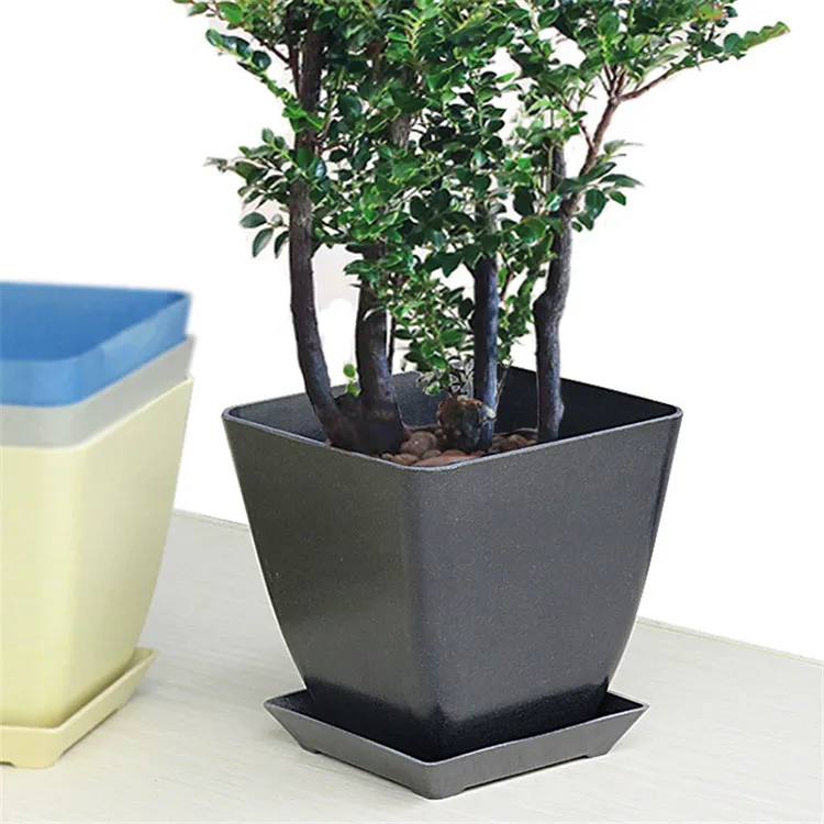 Quali sono le differenze tra vaso di fiori in fibra di bambù e normali vasi di fiori?
